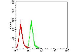 Flow cytometric analysis of Hela cells using CD84 mouse mAb (green) and negative control (red). (CD84 抗体  (AA 22-225))