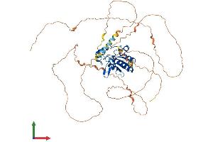 Protein Structure (PS) image for NEDD4 Binding Protein 2-Like 2 (N4BP2L2) (AA 1-583) protein (His tag) (ABIN7549620)