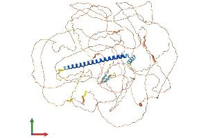 Protein Structure (PS) image for TSC22 Domain Family, Member 1 (TSC22D1) (AA 1-1077) protein (His tag) (ABIN7563499)