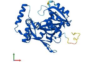 Protein Structure (PS) image for Nudix (Nucleoside Diphosphate Linked Moiety X)-Type Motif 22 (NUDT22) (AA 1-303) protein (His tag) (ABIN7549945)