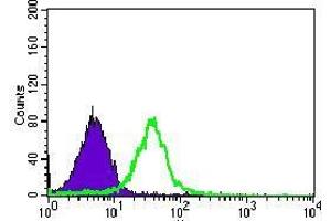 Flow cytometric analysis of Jurkat cells using BMPR1A mouse mAb (green) and negative control (purple). (BMPR1A 抗体  (AA 179-378))