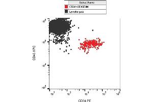 Flow cytometry analysis (surface staining) of CD34 in human peripheral blood with anti-CD34 (QBEnd-10) PE. (CD34 抗体  (PE))
