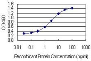 Detection limit for recombinant GST tagged TJAP1 is 0. (TJAP1 抗体  (AA 77-180))