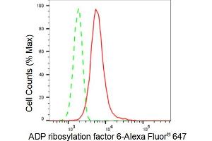 Flow cytometric analysis of ADP ribosylation factor 6 expression in HT- cells using ADP ribosylation factor 6 antibody (ABIN7797532), 1:2,000).