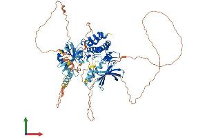 Protein Structure (PS) image for Mitogen-Activated Protein Kinase Kinase Kinase 2 (MAP3K2) (AA 1-619) protein (His tag) (ABIN7557661)
