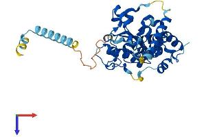 CHST11 Protein (AA 1-352) (His tag)