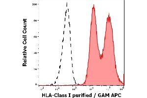 Separation of leukocytes stained using anti-HLA Class I (W6/32) purified antibody (concentration in sample 4 μg/mL, GAM APC, red-filled) from leukocytes unstained by primary antibody (GAM APC, black-dashed) in flow cytometry analysis (surface staining). (MICA 抗体)