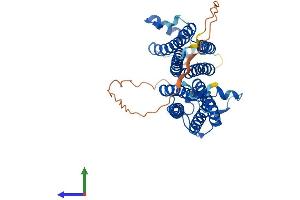 Protein Structure (PS) image for Cytochrome C Oxidase Assembly Homolog 15 (COX15) (AA 1-413) protein (His tag) (ABIN7558690)