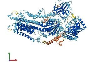 Protein Structure (PS) image for ATPase, Class I, Type 8A, Member 1 (ATP8A1) (AA 1-1164) protein (His tag) (ABIN7563534)