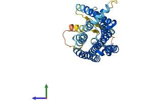 Protein Structure (PS) image for Olfactory Receptor, Family 2, Subfamily S, Member 2 (OR2S2) (AA 1-319) protein (His tag) (ABIN7550515)