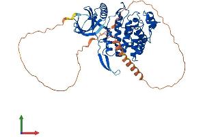 Protein Structure (PS) image for CDC-Like Kinase 4 (CLK4) (AA 1-481) protein (His tag) (ABIN7562331)