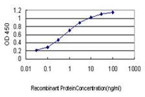 Detection limit for recombinant GST tagged HARS is approximately 0. (HARS1/Jo-1 抗体  (AA 1-96))