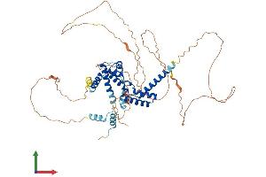 AlphaFold protein structure predicition of Human Recombinant HNF1B Protein, UniprotID P35680 (HNF1B Protein (AA 1-557) (His tag))