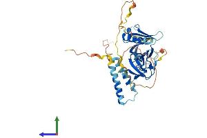 AlphaFold protein structure predicition of Human Recombinant SKAP2 Protein, UniprotID O75563