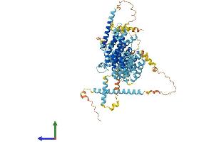 Protein Structure (PS) image for Nucleolar Complex Associated 3 Homolog (NOC3L) (AA 1-807) protein (His tag) (ABIN7559952)