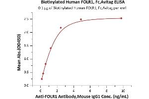Immobilized Biotinylated Human FOLR1, Fc,Avitag (ABIN6731323,ABIN6809954) at 1 μg/mL (100 μL/well) on streptavidin precoated (0.