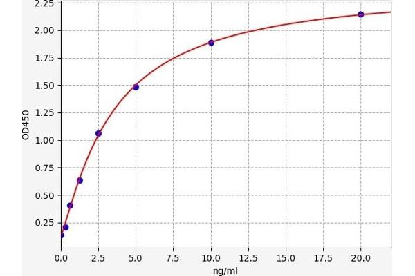 NFIL3 ELISA 试剂盒