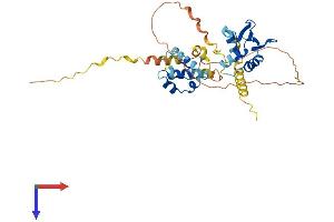 ETV7 Protein (AA 1-341) (His tag)
