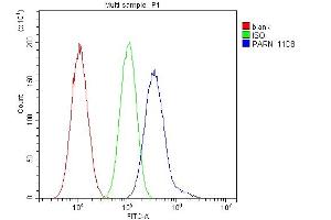 Flow Cytometry analysis of A549 cells using anti- PARN antibody (ABIN6719422). (PARN 抗体  (AA 1-301))