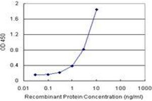 Sandwich ELISA detection sensitivity ranging from 0. (TRIM55 (人) Matched Antibody Pair)