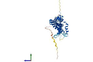 Protein Structure (PS) image for Zinc Finger, DHHC-Type Containing 9 (ZDHHC9) (AA 1-364) protein (His tag) (ABIN7545625)