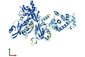 Protein Structure (PS) image for Calpain 8 (CAPN8) (AA 1-703) protein (His tag) (ABIN7552896)