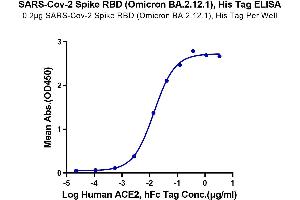 ELISA image for SARS-CoV-2 Spike (BA.2.12.1 - Omicron), (RBD) protein (His tag) (ABIN7273900)