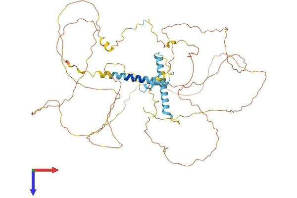MTDH Protein (AA 1-582) (His tag)