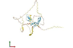 Protein Structure (PS) image for Kruppel-Like Factor 14 (KLF14) (AA 1-323) protein (His tag) (ABIN7548715)