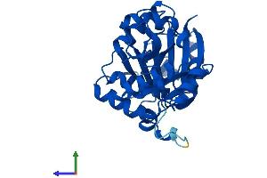 Protein Structure (PS) image for Glycine N-Acyltransferase (GLYAT) (AA 1-296) protein (His tag) (ABIN7548117)
