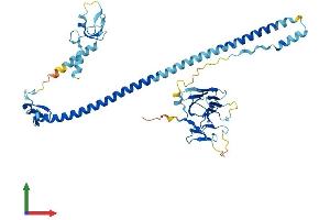 Protein Structure (PS) image for Tripartite Motif Containing 60 (TRIM60) (AA 1-466) protein (His tag) (ABIN7559948)