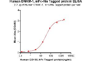 ELISA image for CD226 (CD226) (AA 19-247) protein (mFc-His Tag) (ABIN6961117)