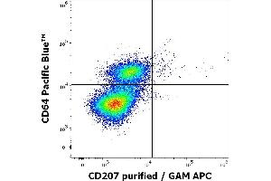 Flow cytometry multicolor intracellular staining pattern of human stimulated (GM-CSF + IL-4 + TGF-beta) monocytes using anti-human CD207 (2G3) purified antibody (concentration in sample 0. (CD207 抗体)