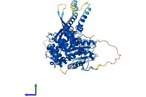 Protein Structure (PS) image for Syntaxin Binding Protein 2 (STXBP2) (AA 1-593) protein (His tag) (ABIN7557825)