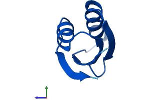 Protein Structure (PS) image for ATX1 Antioxidant Protein 1 Homolog (ATOX1) (AA 1-68) protein (Fc Tag) (ABIN7562235)