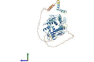 Protein Structure (PS) image for Zinc Finger Protein 266 (ZNF266) (AA 1-549) protein (His tag) (ABIN7545650)