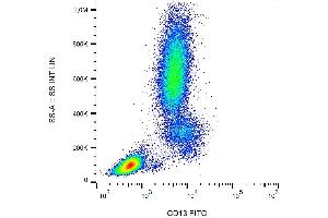 Surface staining of human peripheral blood leukocytes with anti-CD13 (WM15) FITC. (CD13 抗体  (FITC))