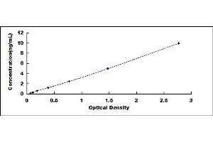 Typical standard curve (Ferritin ELISA 试剂盒)