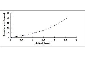 Typical standard curve (CREB3 ELISA 试剂盒)