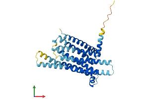 AlphaFold protein structure predicition of Human Recombinant TAS2R3 Protein, UniprotID Q9NYW6