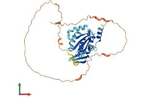 Protein Structure (PS) image for BCL2/adenovirus E1B 19kD Interacting Protein Like (BNIPL) (AA 1-328) protein (His tag) (ABIN7560322)