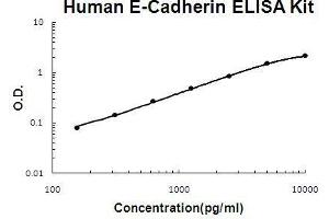 Human E-Cadherin PicoKine ELISA Kit standard curve