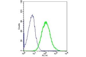 Flow Cytometry (FACS) image for anti-EGF, Latrophilin and Seven Transmembrane Domain Containing 1 (ELTD1) (AA 301-400) antibody (ABIN1713780)