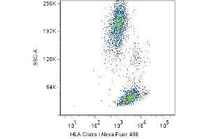 Surface staining of human peripheral blood cells with anti-HLA-class I(W6/32) Alexa Fluor® 488.