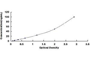Typical standard curve (ENDOD1 ELISA 试剂盒)