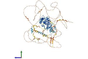 Protein Structure (PS) image for Growth Arrest-Specific 2 Like 2 (GAS2L2) (AA 1-860) protein (His tag) (ABIN7557530)
