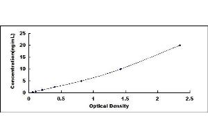 Typical standard curve (LOXL3 ELISA 试剂盒)