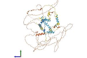Protein Structure (PS) image for Protein Phosphatase 1, Regulatory Subunit 15B (PPP1R15B) (AA 1-697) protein (His tag) (ABIN7558501)