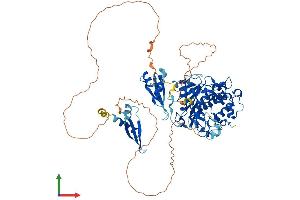 AlphaFold protein structure predicition of Human Recombinant ADARB1 Protein, UniprotID P78563