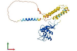 AlphaFold protein structure predicition of Mouse Recombinant Cd209b Protein, UniprotID Q8CJ91